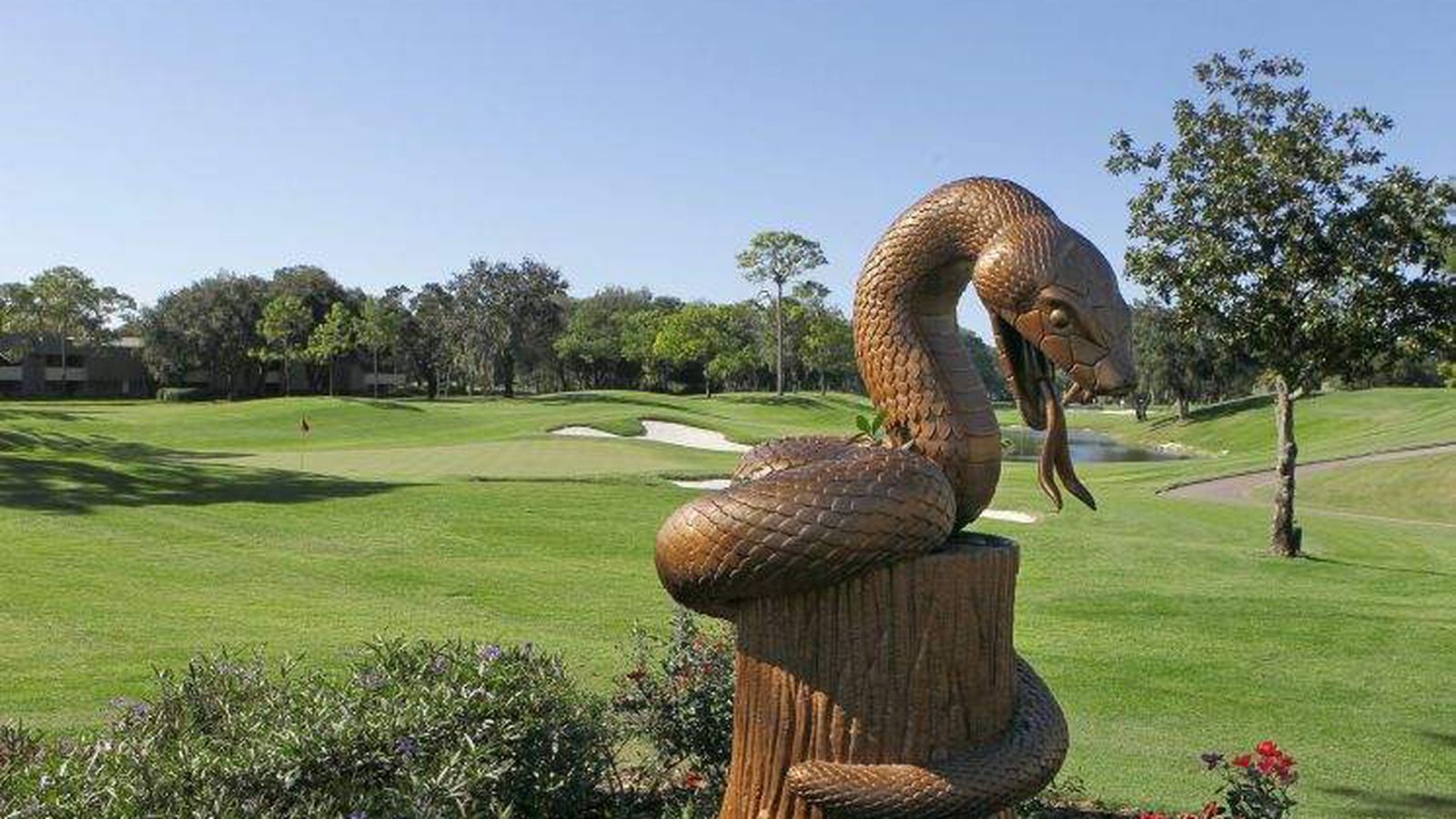 Valspar Championship betting guide: 8 picks our expert loves at Innisbrook